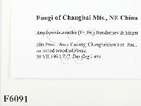 登錄號:F0006091藏品圖，第2張