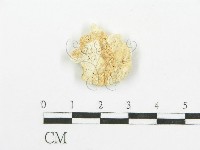 登錄號:F0006091藏品圖，第1張