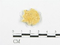 登錄號:F0006091藏品圖，第3張