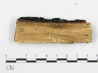 登錄號:F0006092藏品圖，第3張