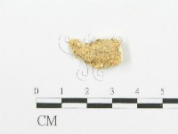 登錄號:F0006094藏品圖，第3張