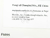 登錄號:F0006095藏品圖，第2張