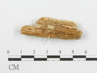 登錄號:F0006095藏品圖，第3張