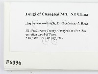 登錄號:F0006096藏品圖，第2張