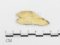 登錄號:F0006096藏品圖，第1張