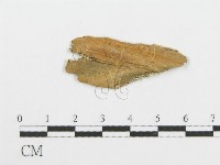 登錄號:F0006096藏品圖，第3張