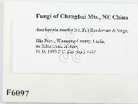 登錄號:F0006097藏品圖，第2張