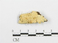 登錄號:F0006097藏品圖，第1張