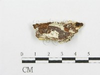 登錄號:F0006097藏品圖，第3張