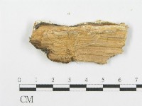 登錄號:F0006098藏品圖，第3張