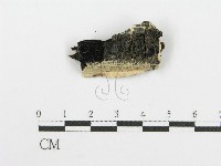 登錄號:F0006099藏品圖，第1張