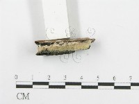 登錄號:F0006099藏品圖，第3張