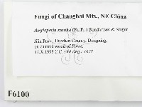 登錄號:F0006100藏品圖，第2張