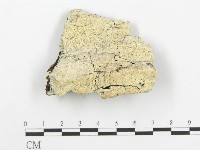 登錄號:F0006100藏品圖，第1張