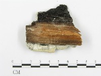 登錄號:F0006100藏品圖，第3張