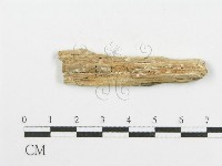 登錄號:F0006101藏品圖，第3張