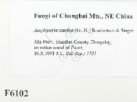 登錄號:F0006102藏品圖，第2張