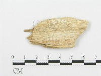 登錄號:F0006102藏品圖，第3張