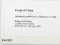 登錄號:F0006103藏品圖，第2張