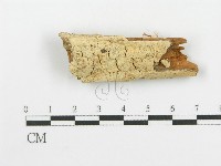 登錄號:F0006103藏品圖，第1張