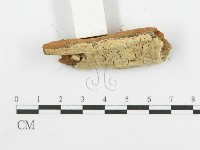 登錄號:F0006103藏品圖，第3張