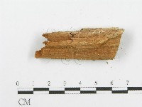 登錄號:F0006103藏品圖，第4張