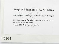 登錄號:F0006104藏品圖，第2張