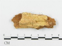 登錄號:F0006104藏品圖，第1張