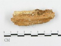 登錄號:F0006104藏品圖，第3張