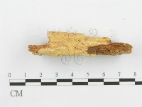 登錄號:F0006104藏品圖，第4張