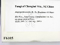 登錄號:F0006105藏品圖，第2張