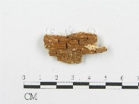 登錄號:F0006105藏品圖，第3張