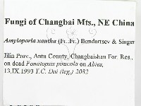 登錄號:F0006106藏品圖，第2張