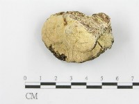 登錄號:F0006106藏品圖，第1張