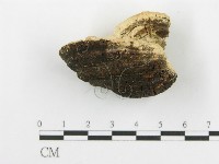 登錄號:F0006106藏品圖，第5張