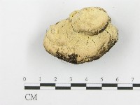 登錄號:F0006106藏品圖，第6張