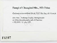 登錄號:F0006107藏品圖，第2張