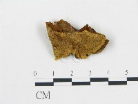 登錄號:F0006107藏品圖，第1張