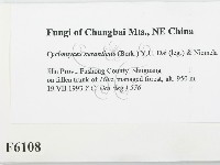 登錄號:F0006108藏品圖，第2張