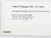 登錄號:F0006109藏品圖，第2張