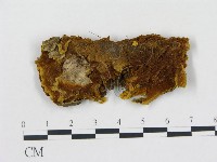 登錄號:F0006109藏品圖，第1張