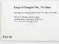 登錄號:F0006110藏品圖，第2張