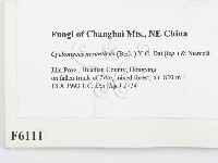 登錄號:F0006111藏品圖，第2張