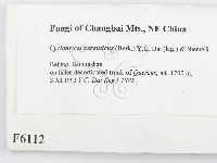 登錄號:F0006112藏品圖，第2張