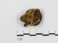 登錄號:F0006112藏品圖，第1張