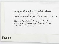 登錄號:F0006113藏品圖，第2張