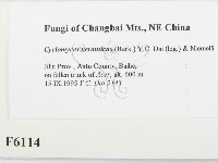 登錄號:F0006114藏品圖，第2張