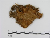 登錄號:F0006115藏品圖，第1張