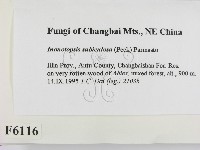 登錄號:F0006116藏品圖，第2張