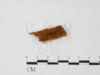 登錄號:F0006117藏品圖，第1張